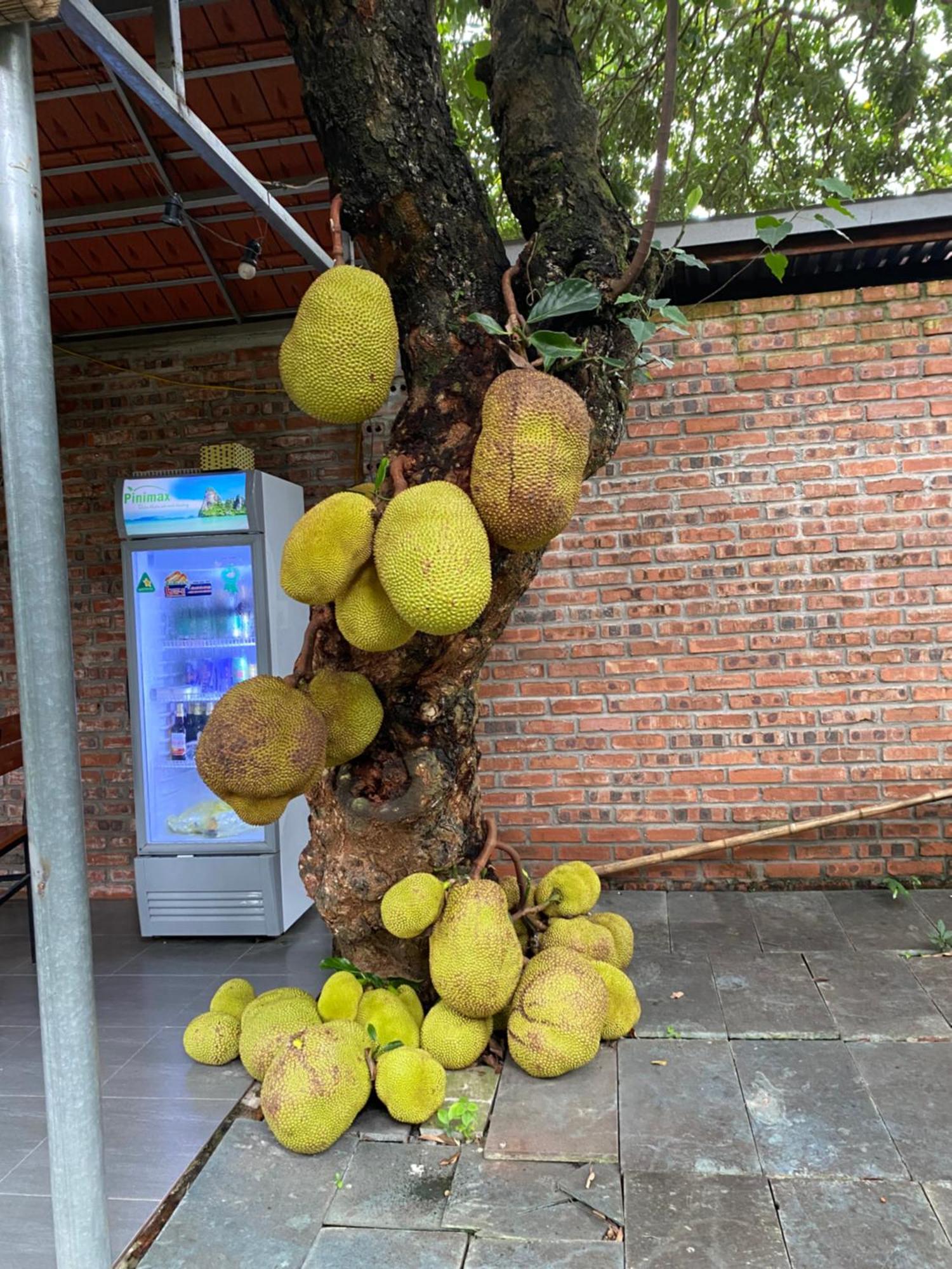 Nam Nhung Tam Coc Homestay 닌빈 외부 사진
